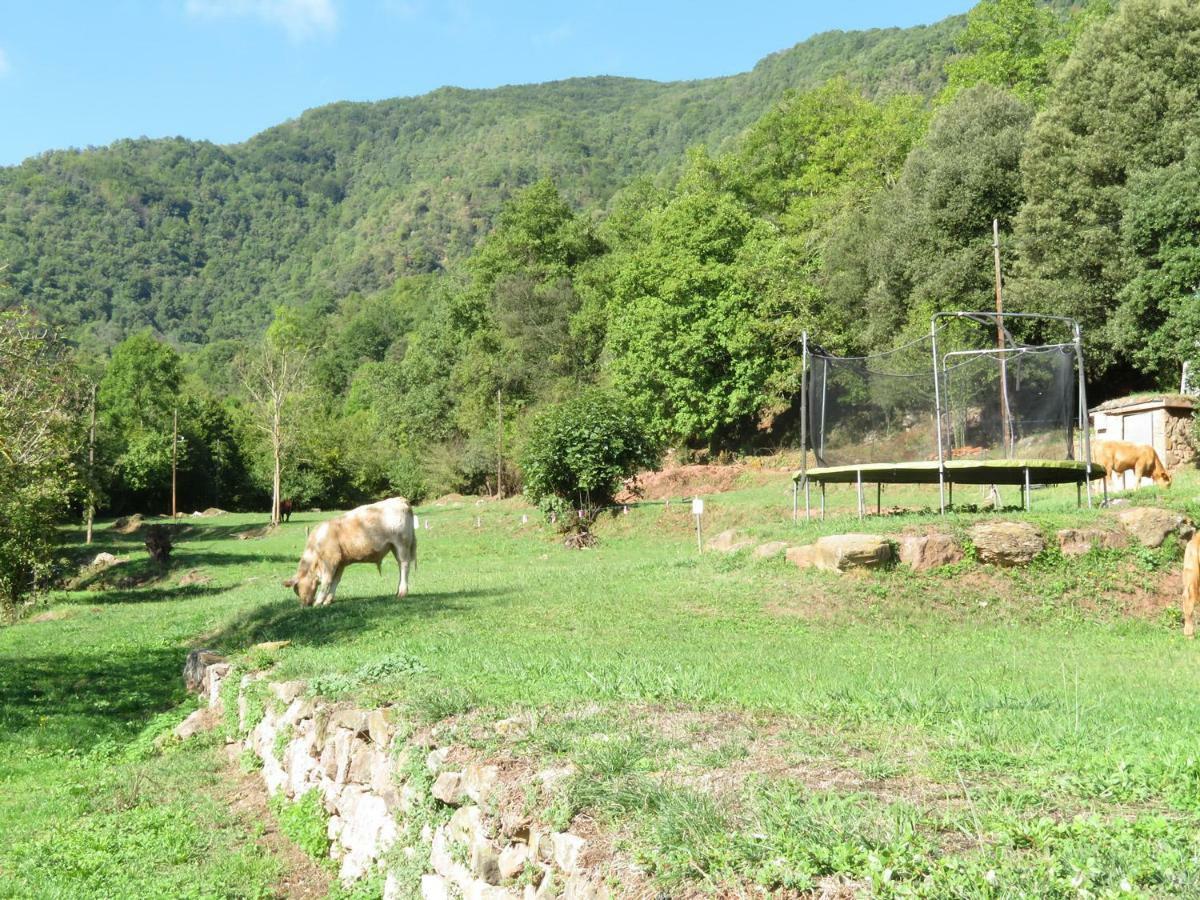 El Paller Del Moli De La Plana Riudaura Exterior photo